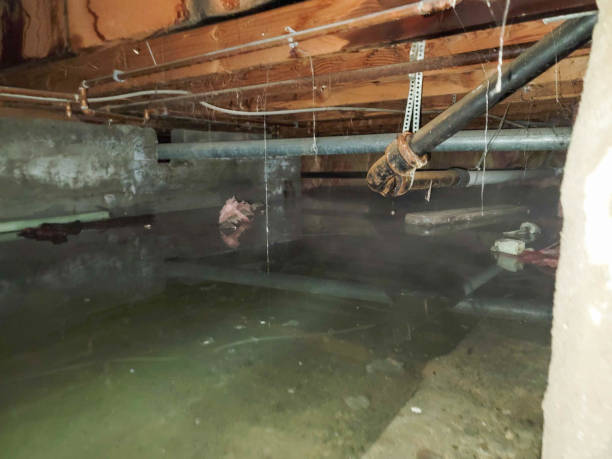 Carpet water damage restoration in Uhland, TX