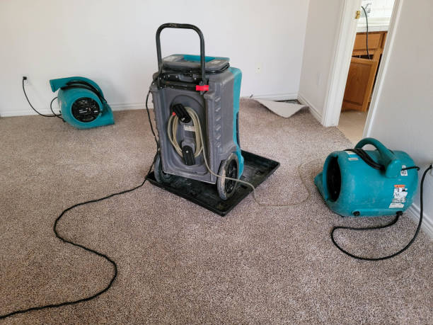 Best Flood restoration services  in Uhland, TX